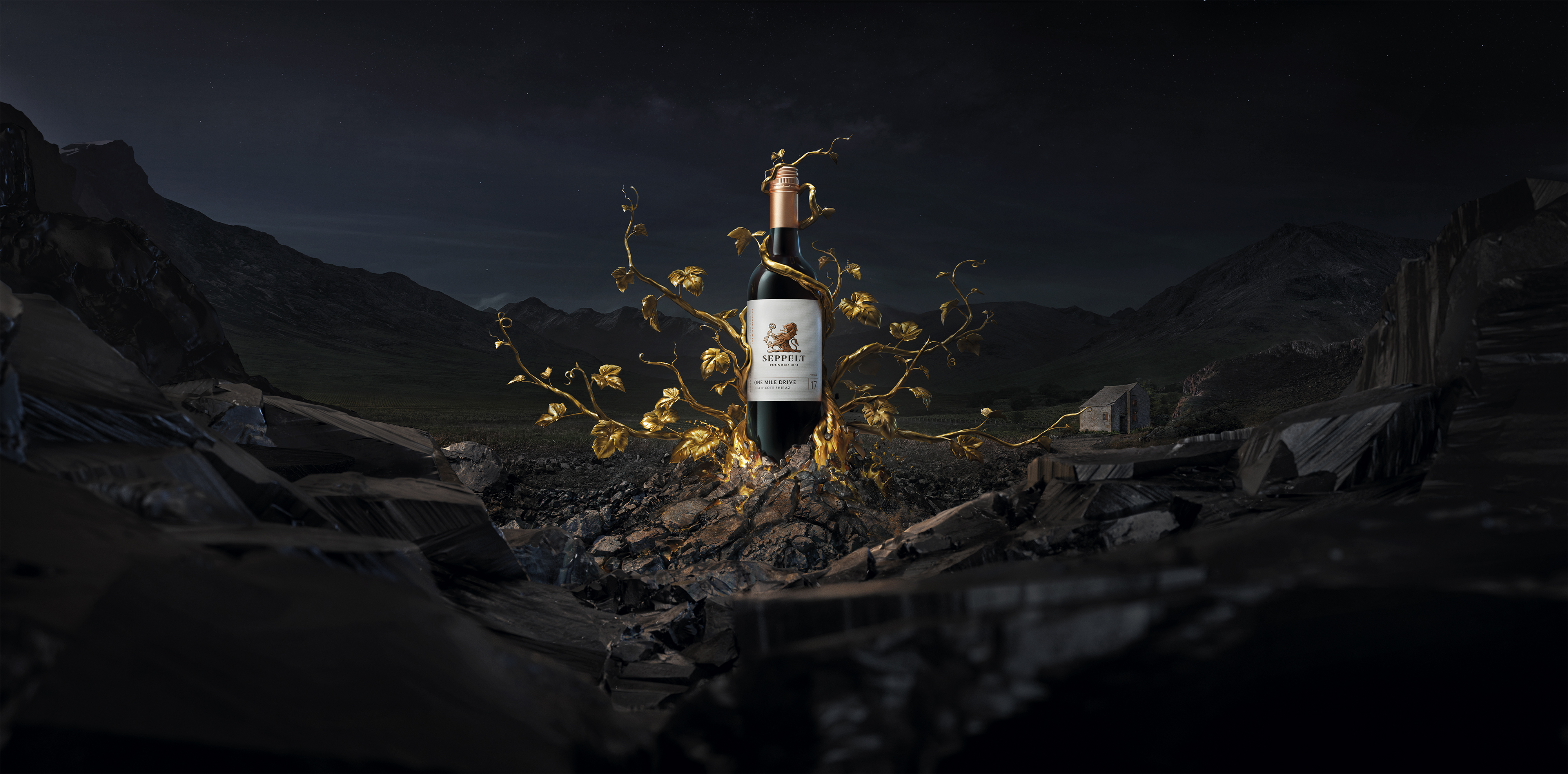 沙普酒莊葡萄酒包裝設(shè)計(jì)的魅力展示