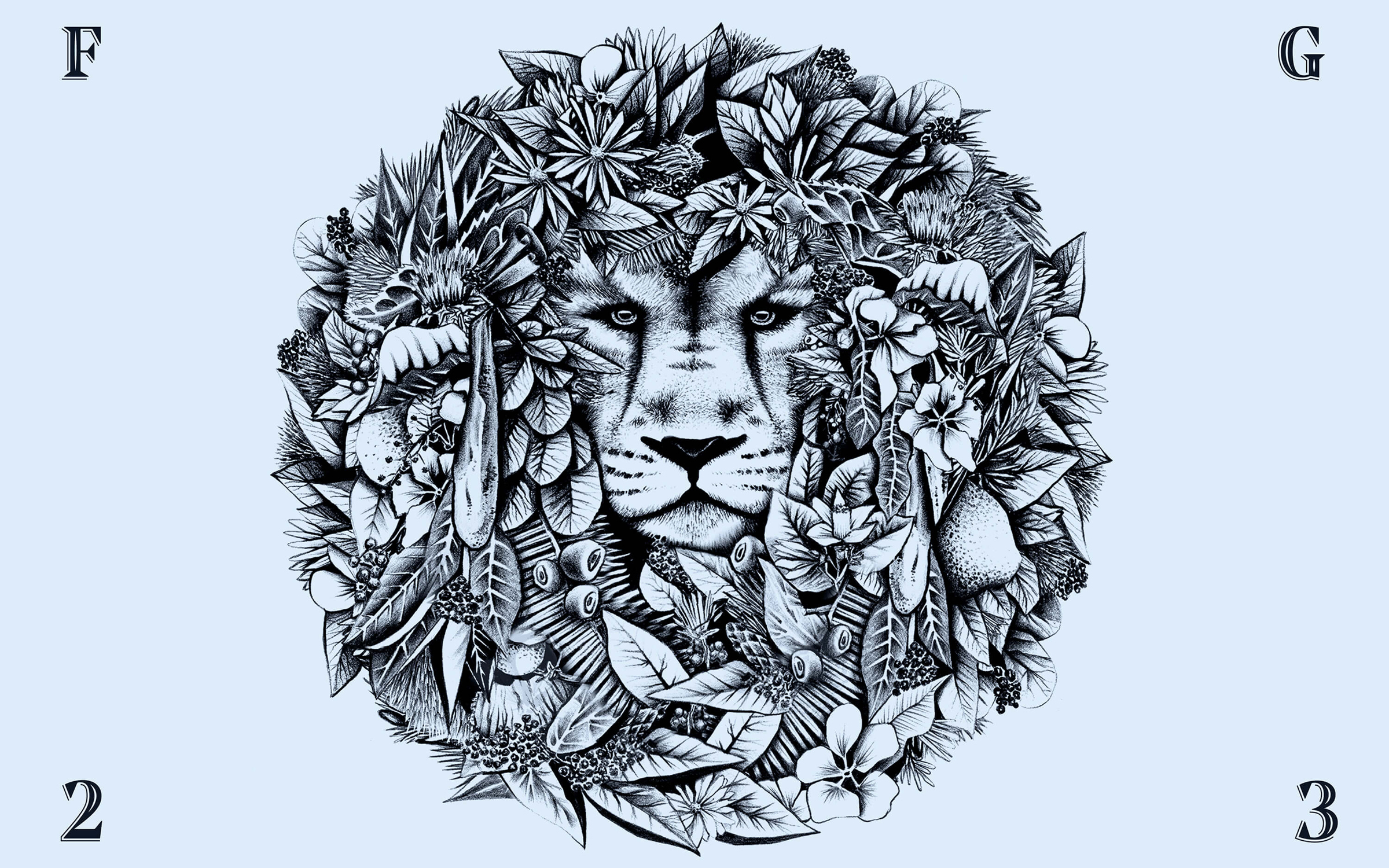 經(jīng)典白酒包裝設(shè)計創(chuàng)意