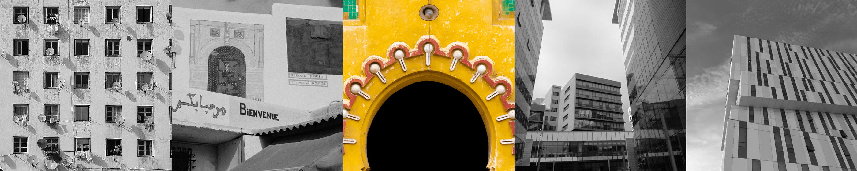 1619337442786194.png 1619337442786194.png