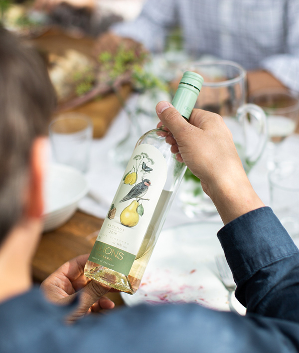 果酒包裝設(shè)計(jì)