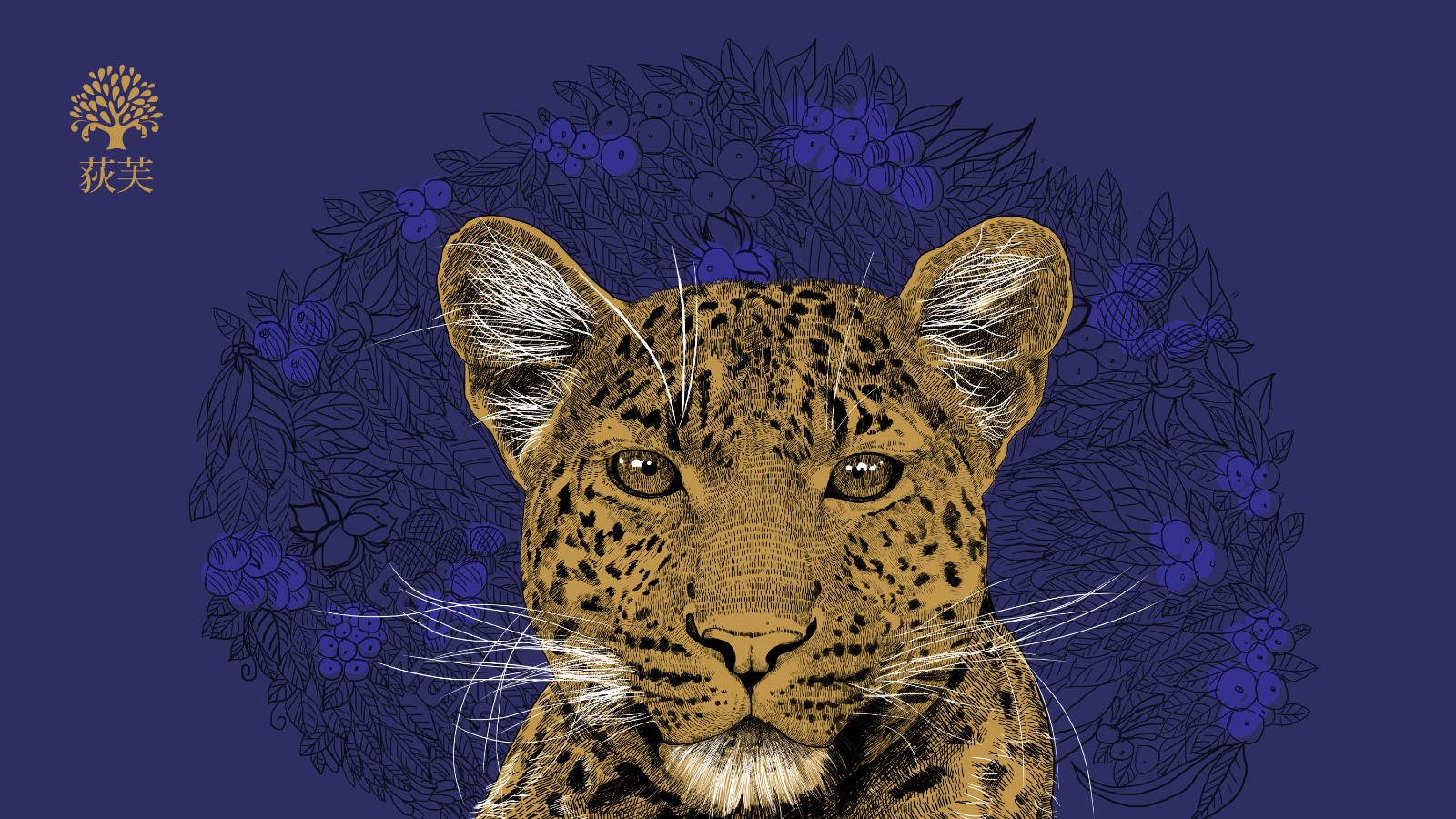 北京西林插畫設計 北京西林插畫設計