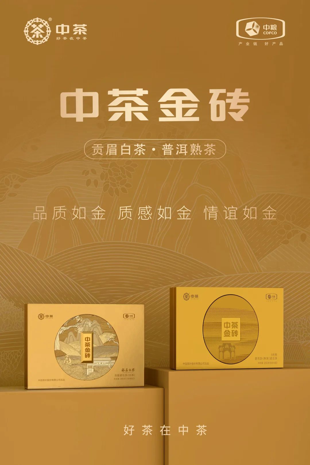 中茶金磚包裝設(shè)計(jì)